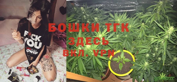 винт Аркадак