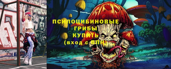 ALPHA PVP Покров