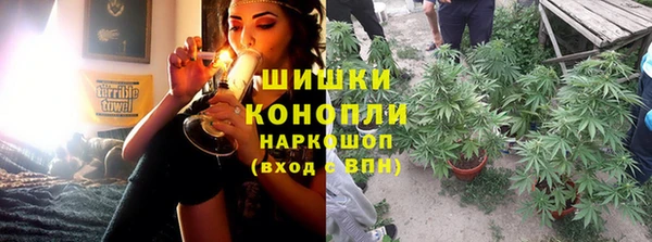 ALPHA PVP Покров